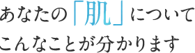 あなたの「肌」について こんなことが分かります