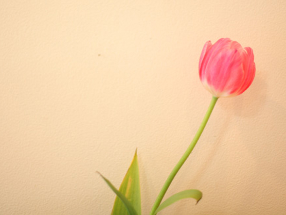 イタクラ 笹口店